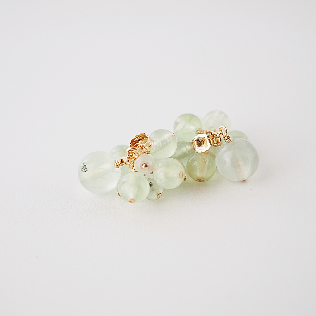 プレナイトキャッチ