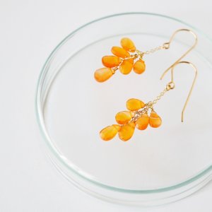 カーネリアンピアス